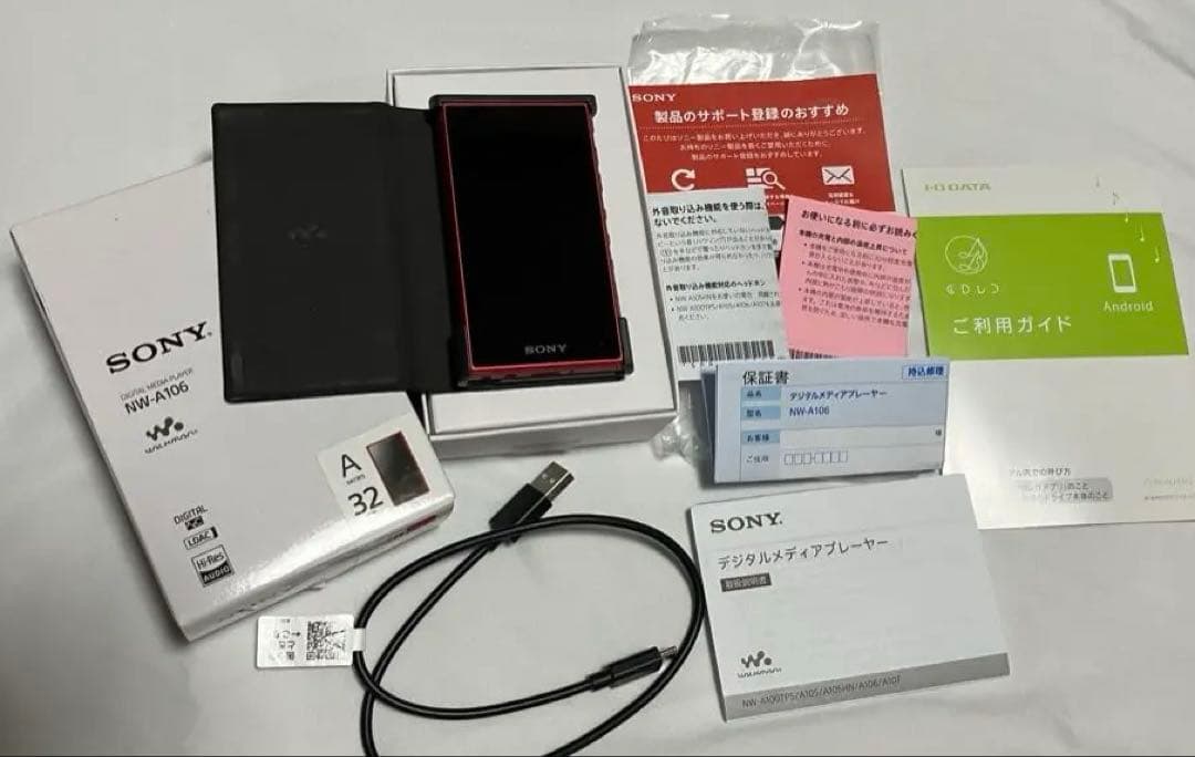SONY ウォークマン(WALKMAN)NW-A106 ケース付
