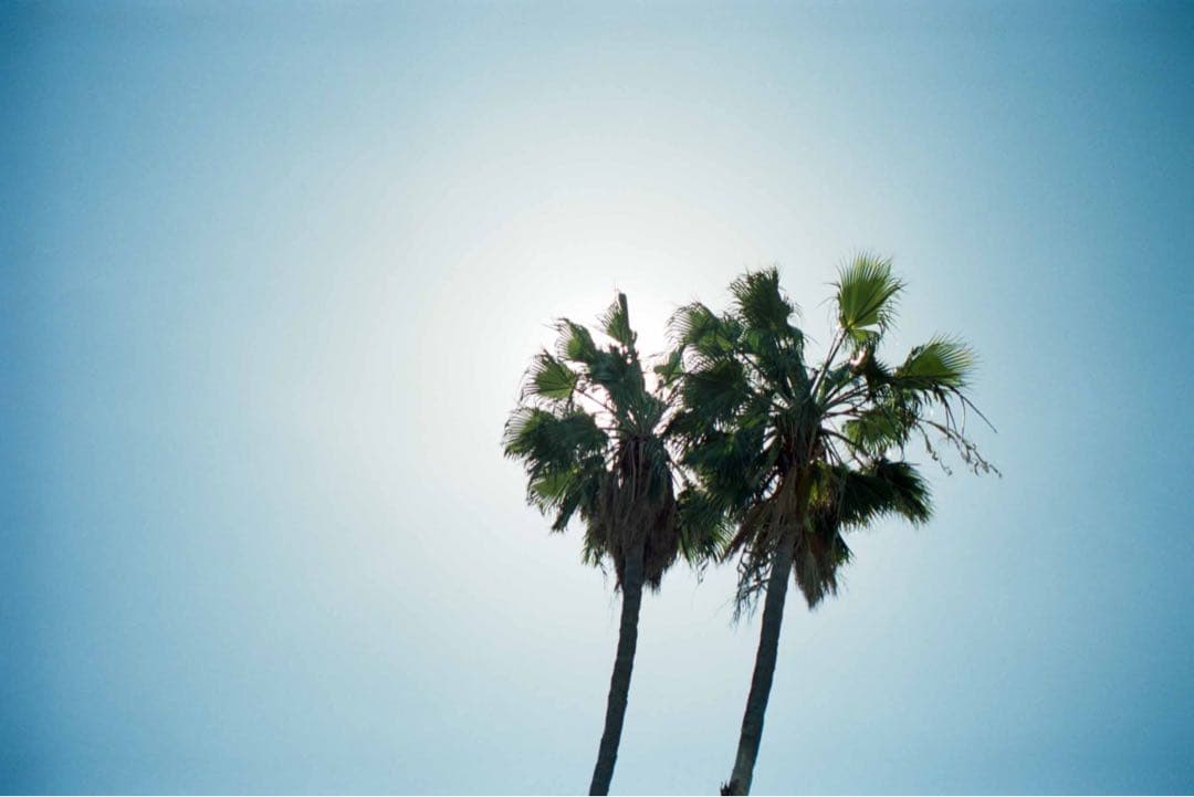 ライカ ズミクロンM50 F2 (第2世代)