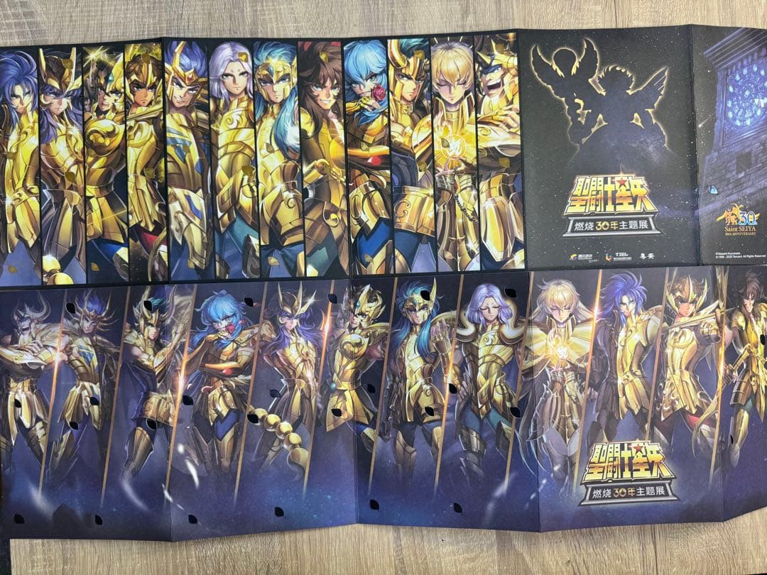 聖闘士30周年聖衣神話黄金聖闘士記念カード全2冊26枚ヒドゥン2枚入り10セット