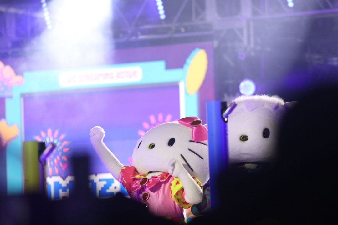 Canon ZOOM EF 70-200mm F2.8 L USM レンズ