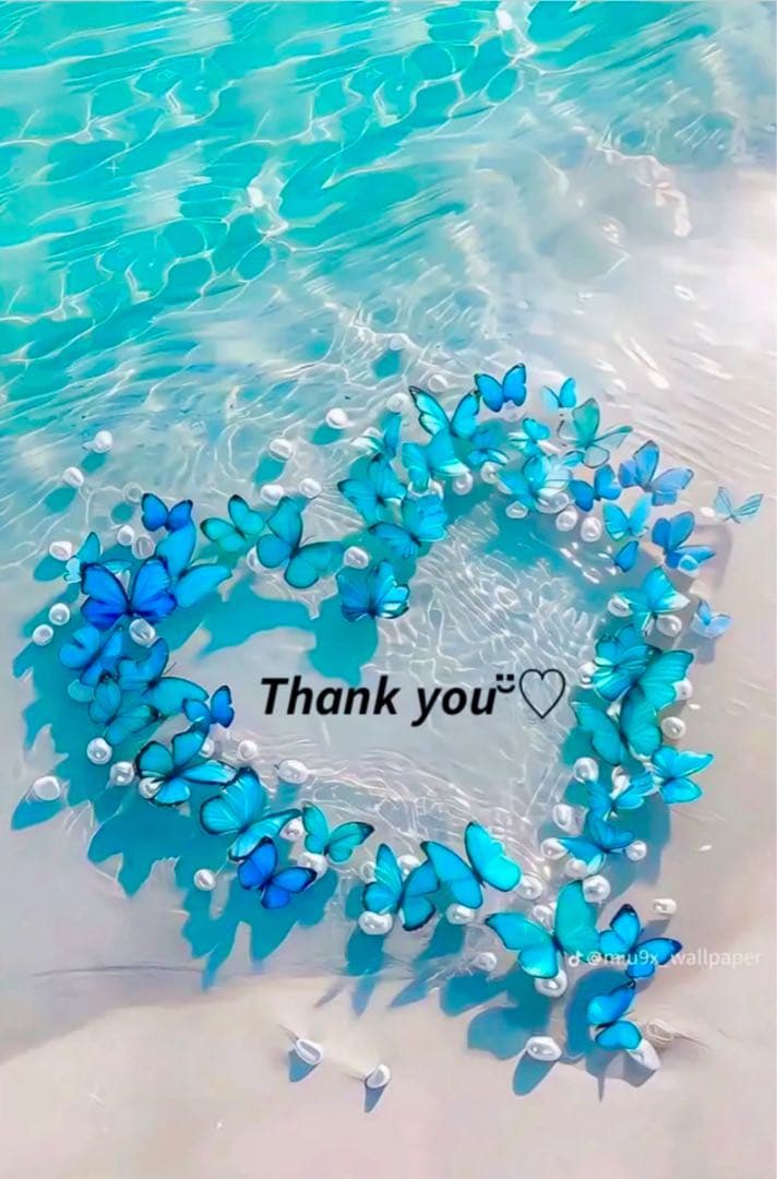 ❤️はる様❤️