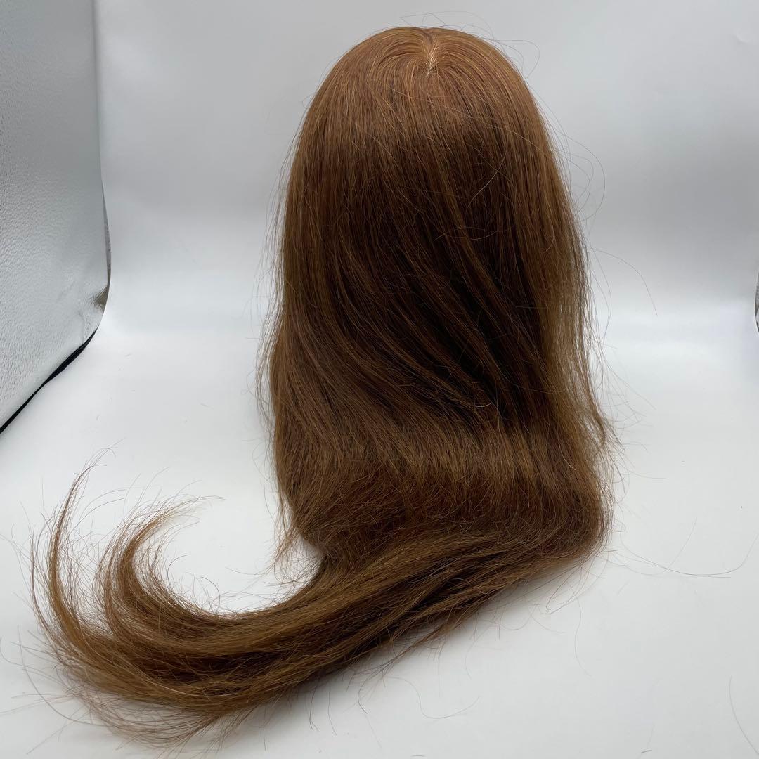 は*る様 アップウィッグ　カットウィッグ　美容師　NBAA 新品未使用　マネキン