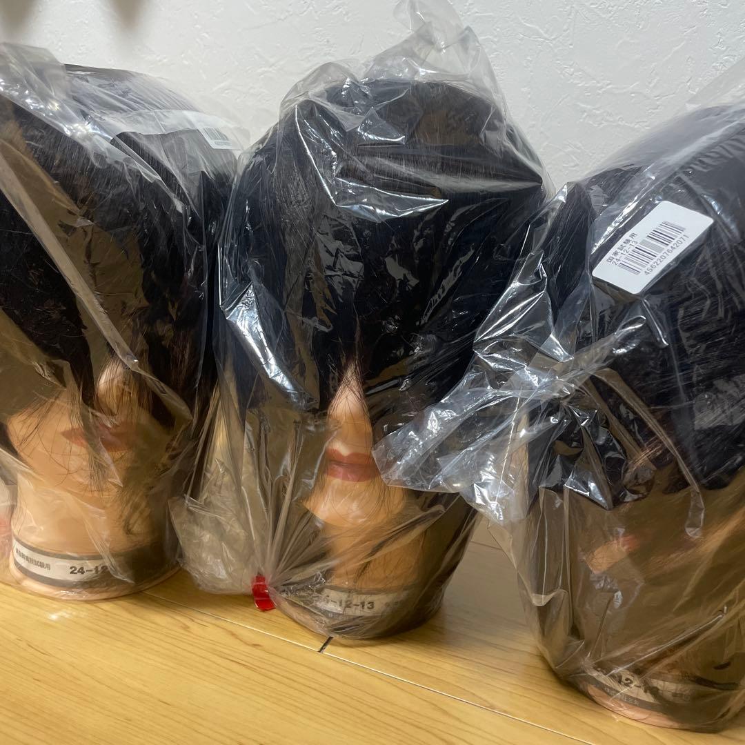 国家試験用　カットウィッグ3体