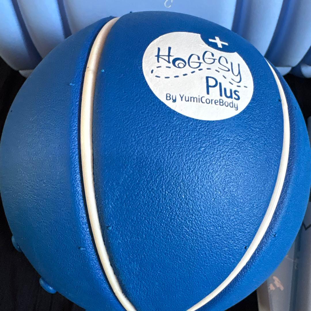 Yumi Core Body ローラーとボールセット
