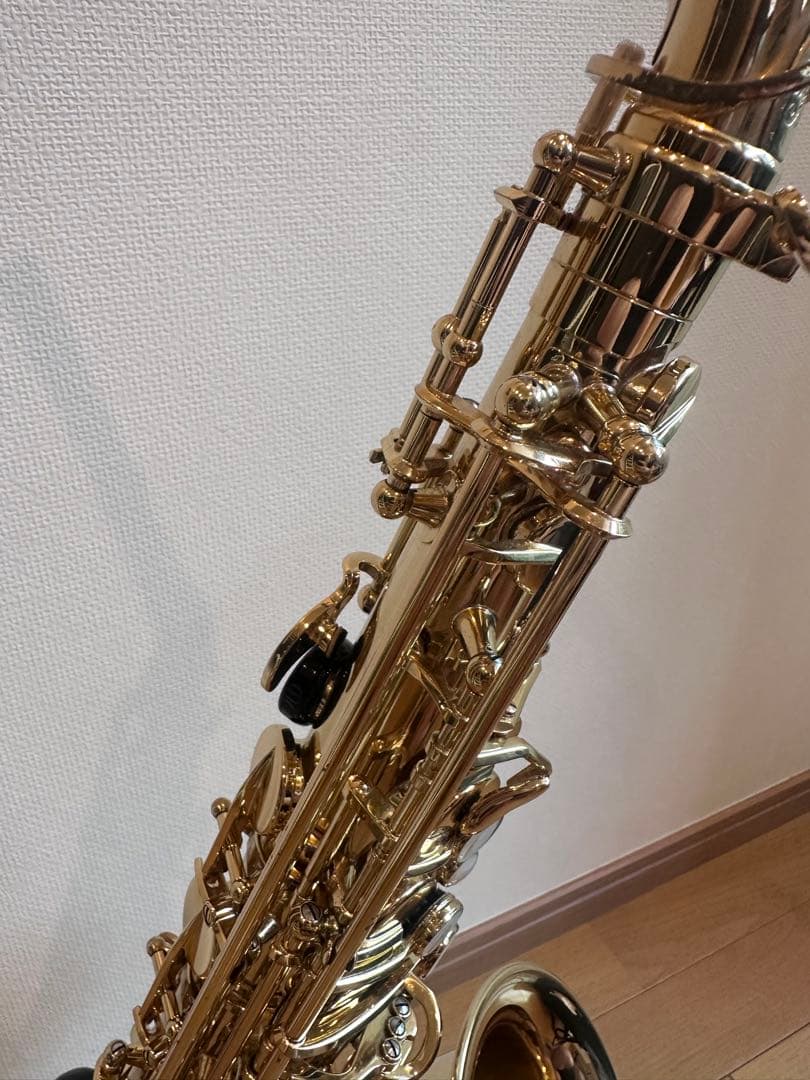 た*ま様 セルマーアルトサックス　シリーズ2 選定品