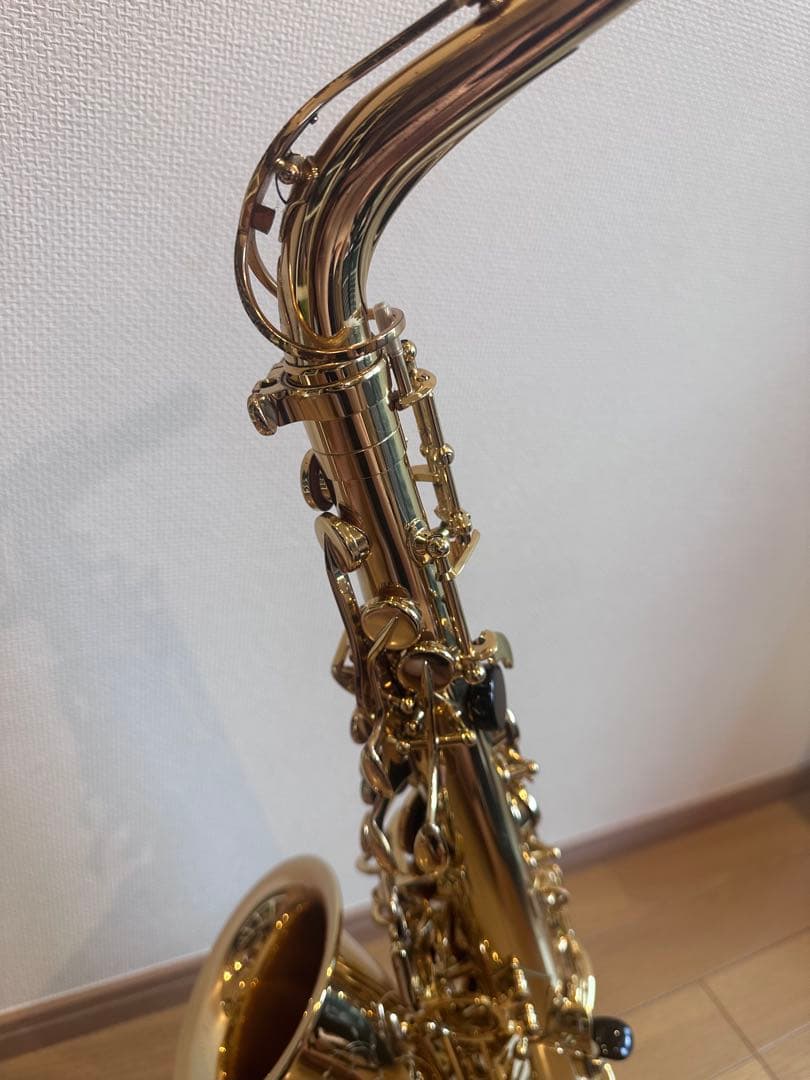 た*ま様 セルマーアルトサックス　シリーズ2 選定品