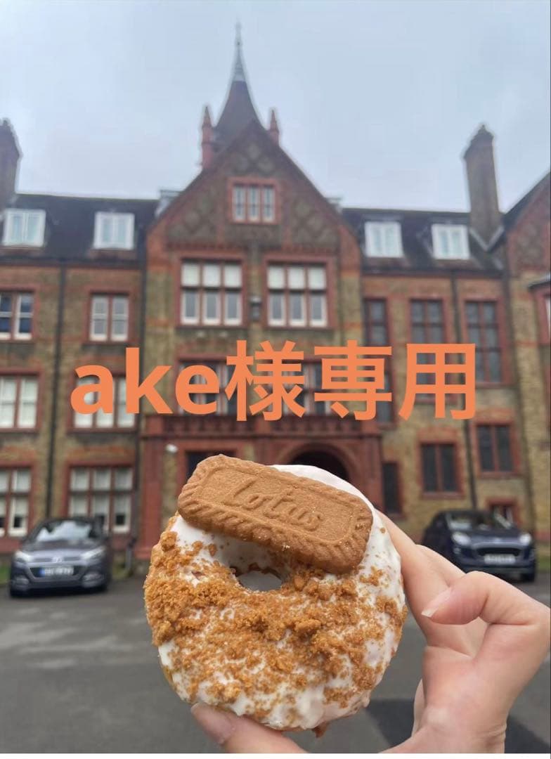 シルバー ツイストチェーン チョーカーネックレス イタリア製 Diorミラー1点