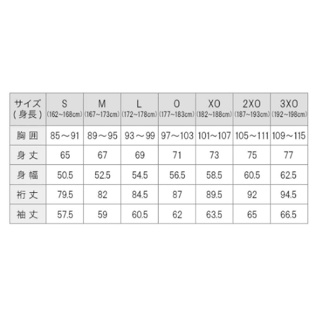 phiten tシャツ Oサイズ(美品) *omaru*