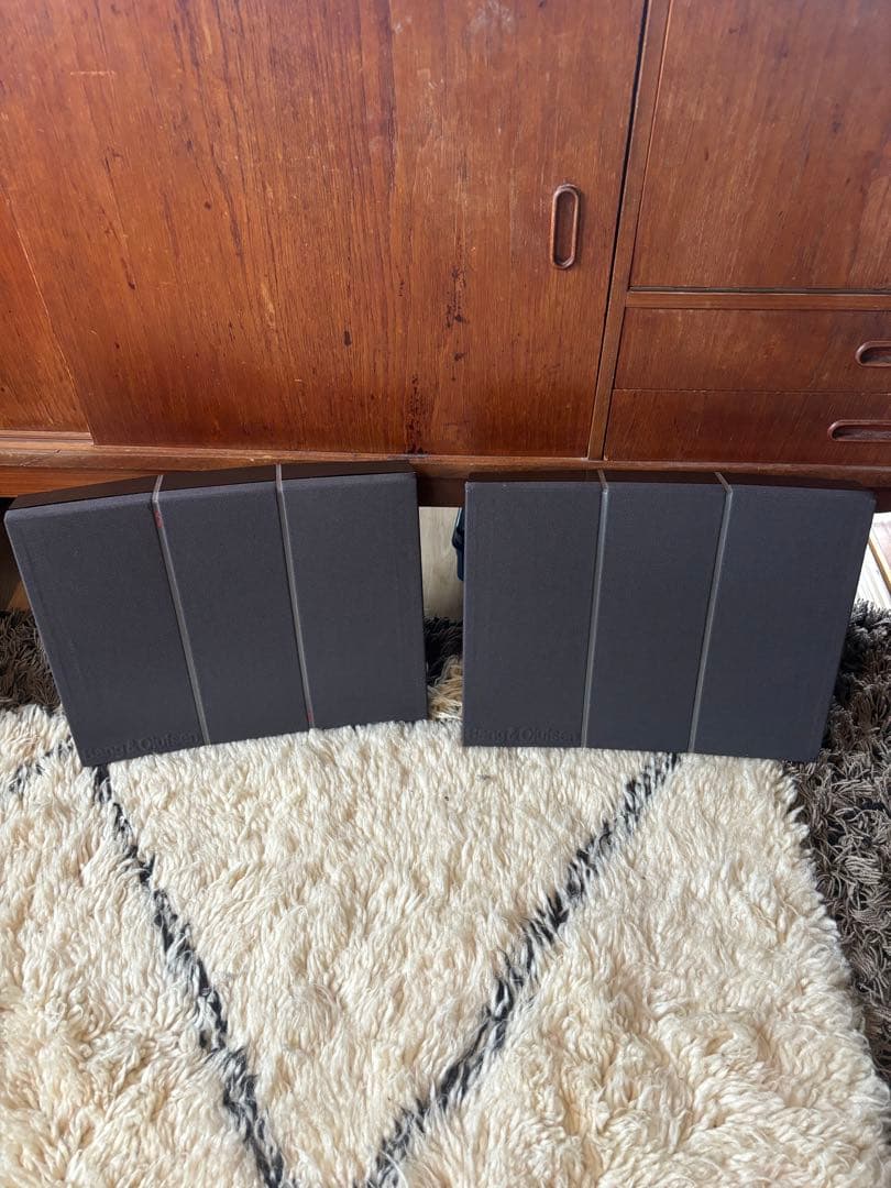 Bang & Olufsen BEOVOX RL35 バング&オルフセン