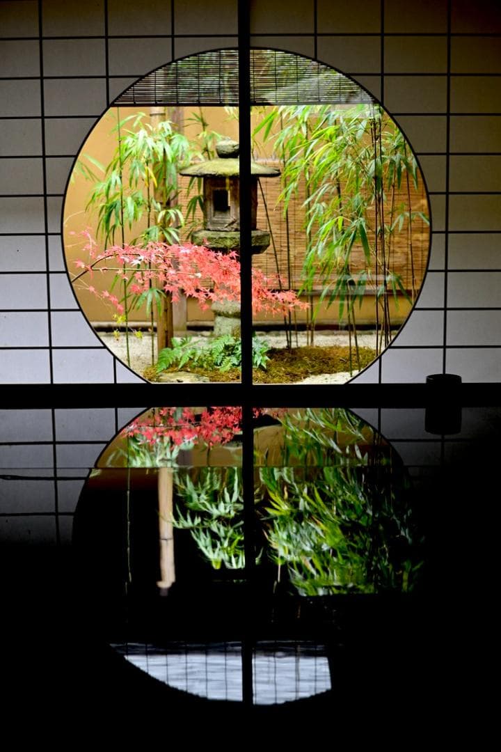 【美品】NIKKOR Z 50mm f/1.8 S 単焦点レンズ　S-Line