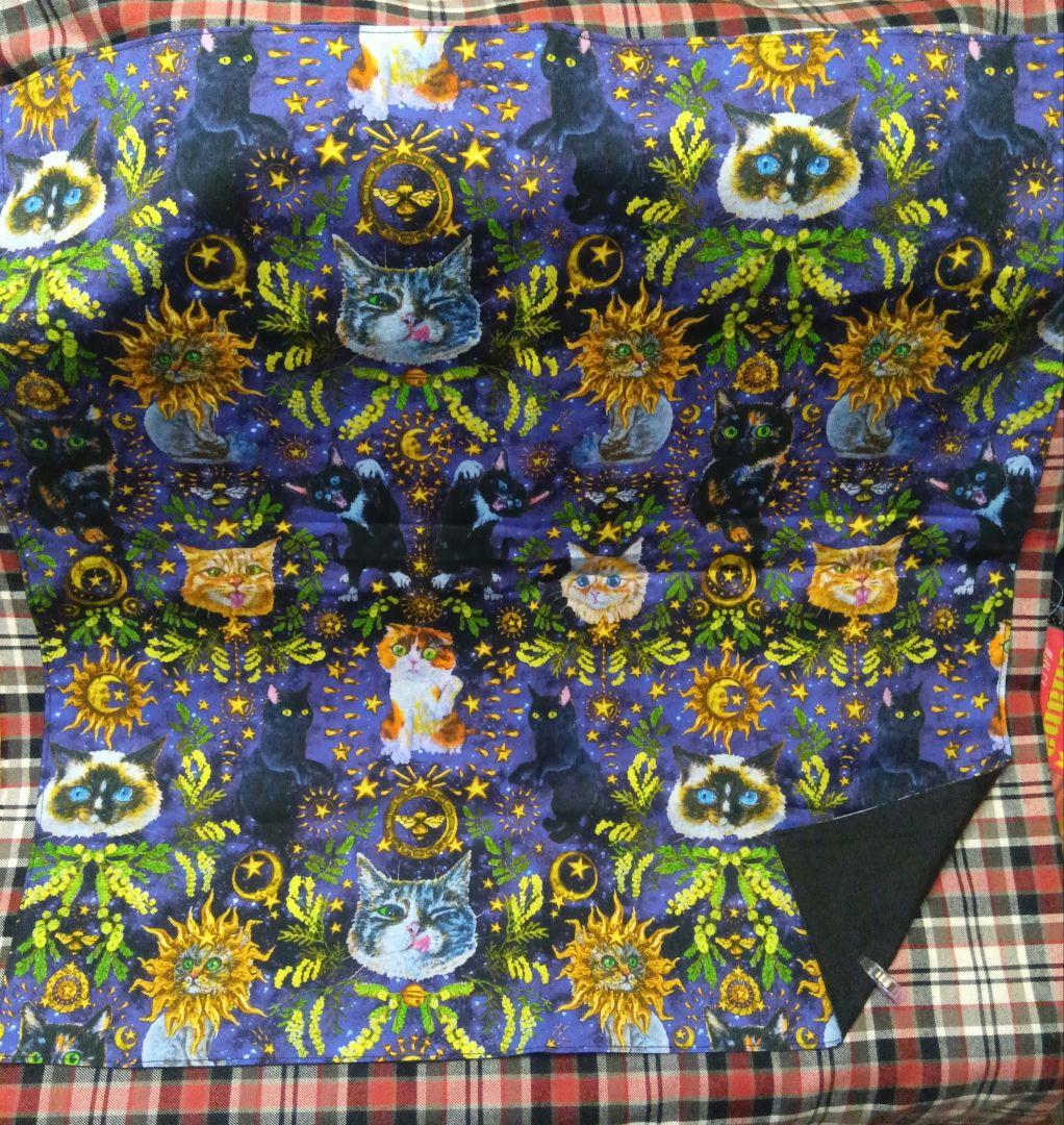 ねこねこ 2025夏虹猫本舗新柄