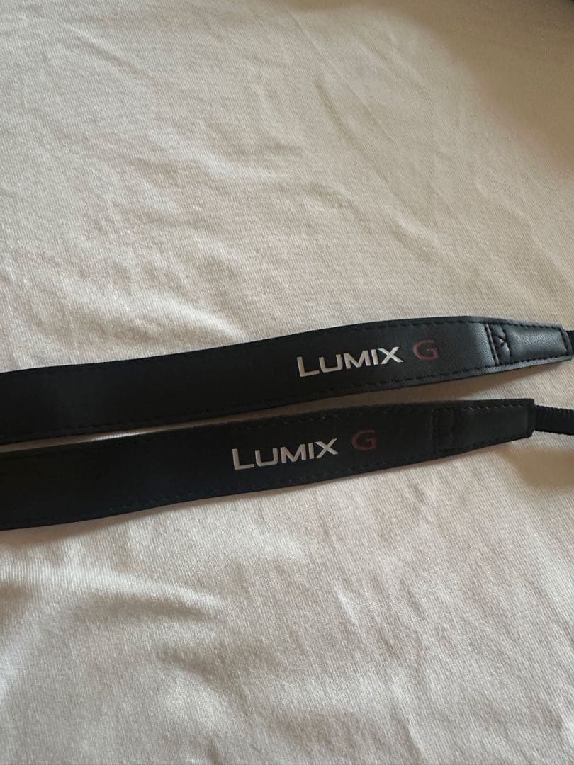 LUMIX g100dデジタル一眼レフカメラ 本体とレンズセット