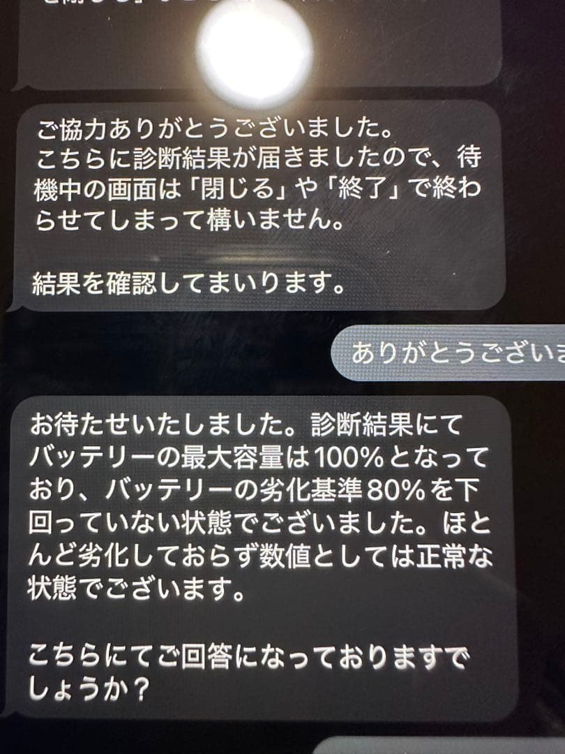 バッテリー最大容量100% ipad mini pink 256gb