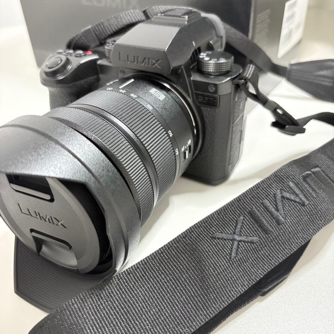 LUMIX s5iix 一眼カメラ レンズキット DC-S5M2XK