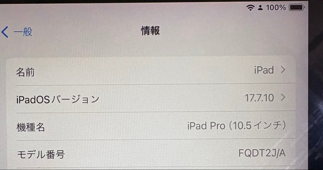 iPad Pro 10.5インチ 64GB Wi-Fi バッテリー最大容量87%