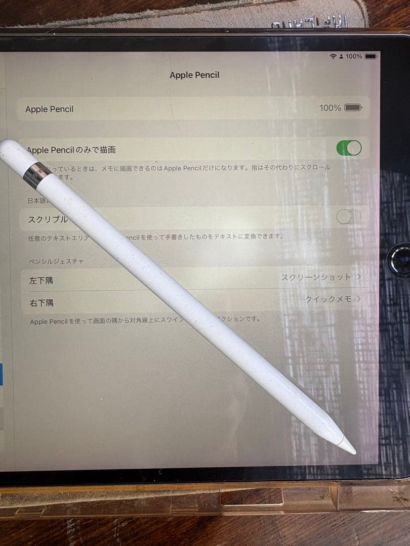 iPad Pro 10.5インチ 64GB Wi-Fi バッテリー最大容量87%