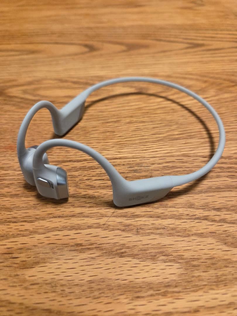 イヤホン SHOKZ OPENRUN PRO2 BLUE