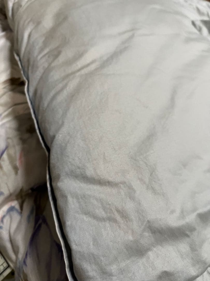 西川　羽毛掛け布団　花柄　水色　ダウン90% 1.9キロ