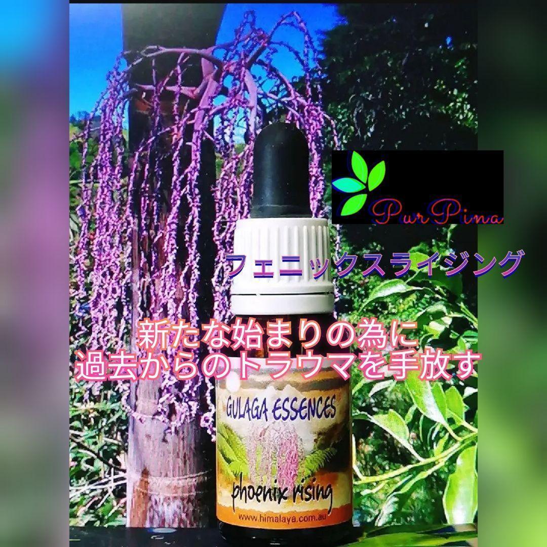 【専用】メディテーション『瞑想』 オーストラリアンブッシュ　フラワーエッセンス他