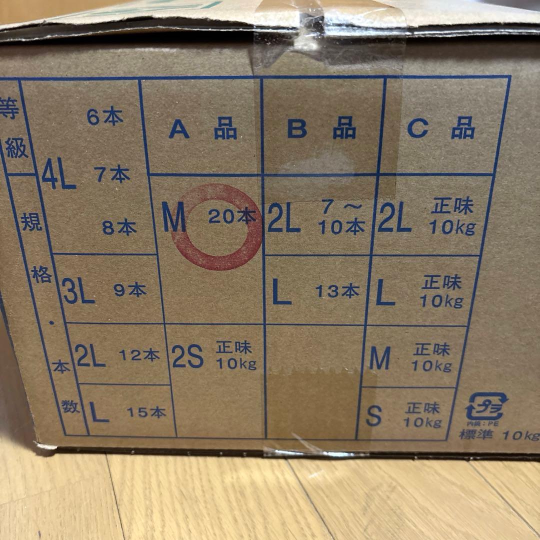 北海道産 長芋 A品20本