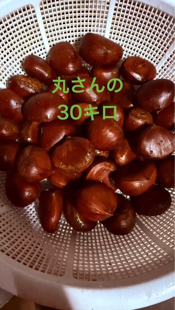 栗 生栗 30キロ　農薬不使用 サイズ(L-3L)