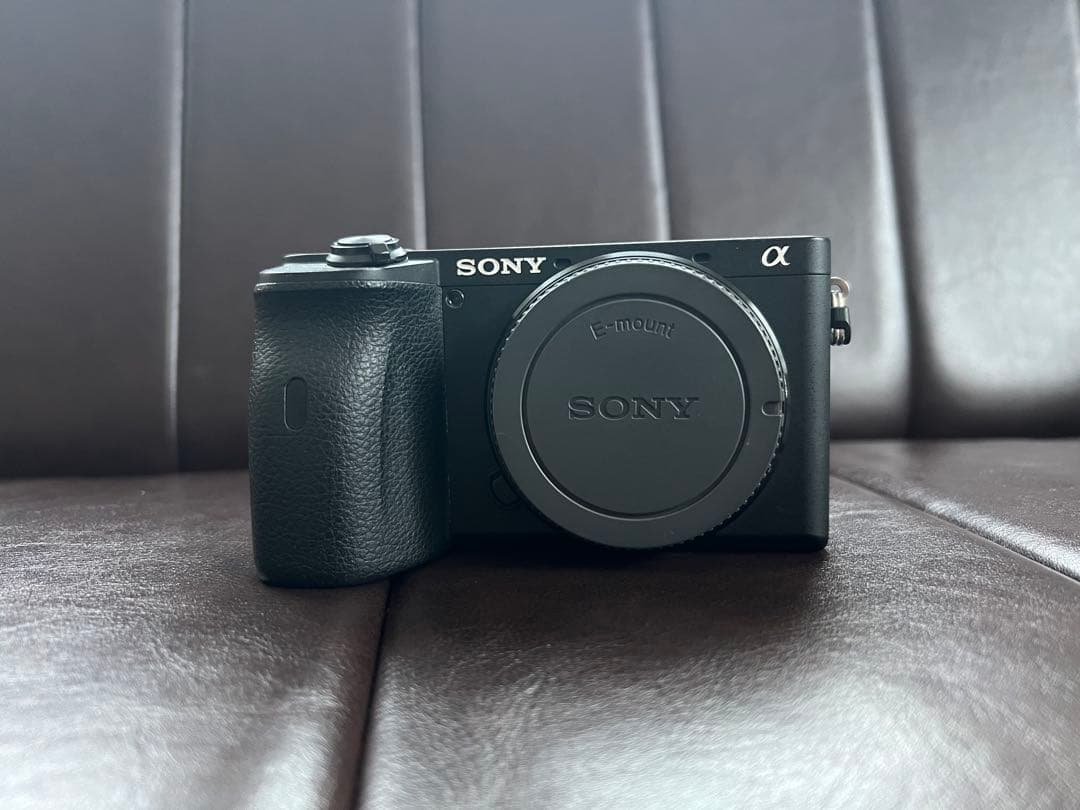 SONY α6600 ボディ (ILCE-6600) 高性能ミラーレス