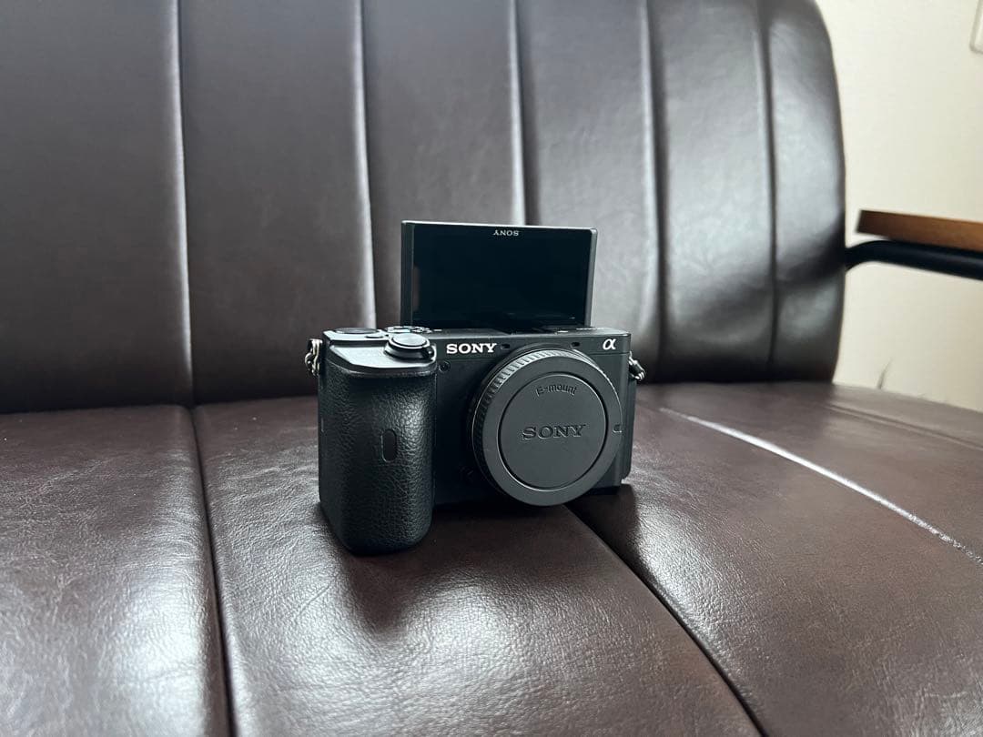 SONY α6600 ボディ (ILCE-6600) 高性能ミラーレス