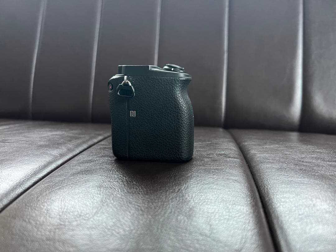 SONY α6600 ボディ (ILCE-6600) 高性能ミラーレス