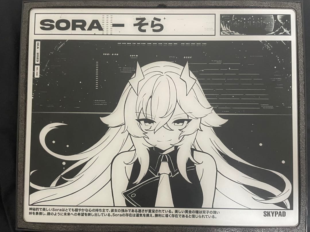 sky pad 3.0 限定デザイン