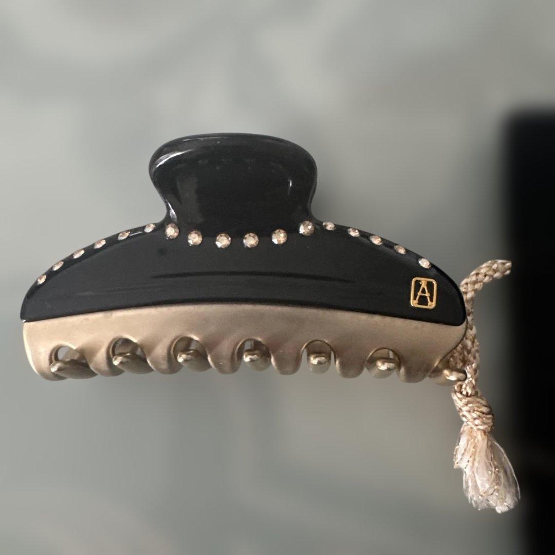 美品ALEXANDRE DE PARIS ヘアクリップ 黒