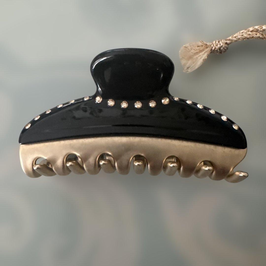 美品ALEXANDRE DE PARIS ヘアクリップ 黒