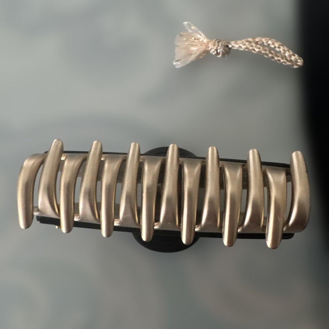 美品ALEXANDRE DE PARIS ヘアクリップ 黒