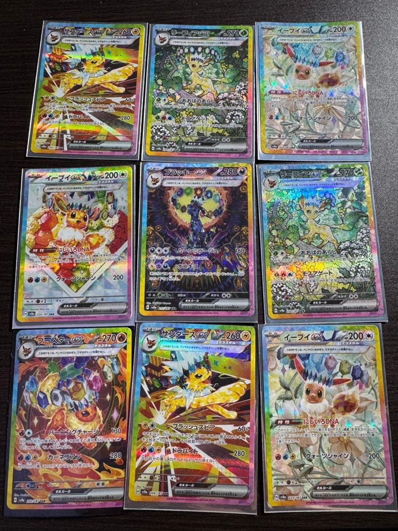 ブイズ　SAR テラスタルフェスex