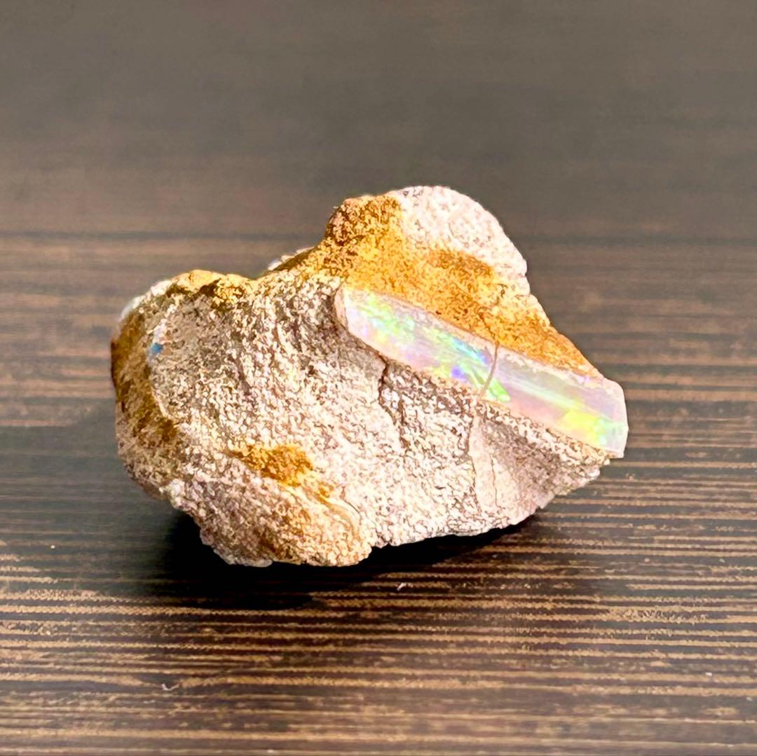 マ*キ様 シェルオパール 5.95ct ツノガイ 鉱物標本