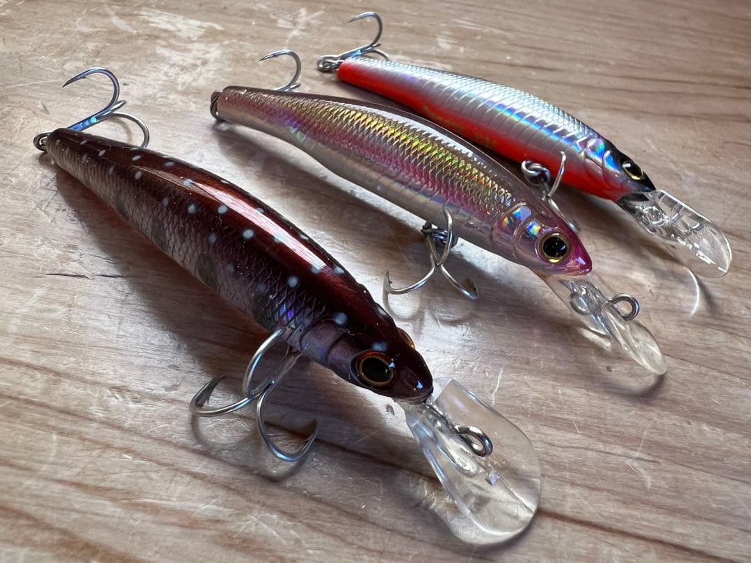 ザウルス　レックス70MD 10個セット