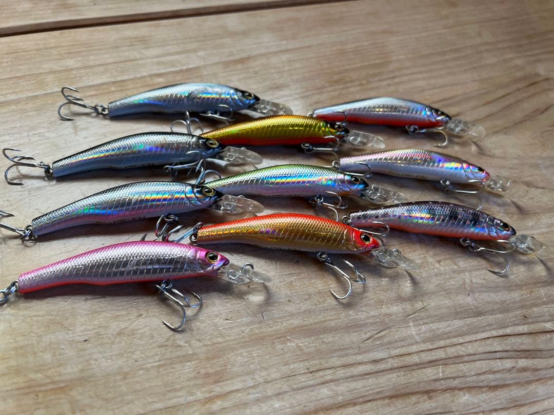 ザウルス　レックス70MD 10個セット