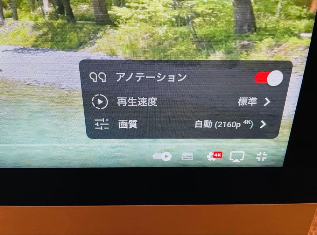 iMac 21.5inch 2015 SSD換装済み