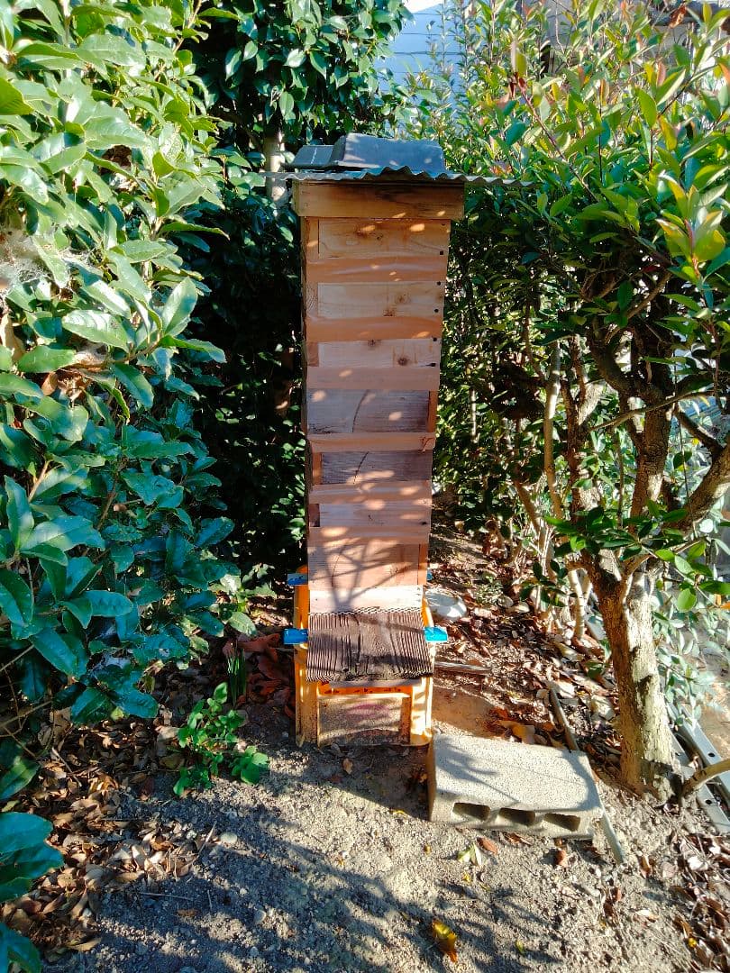 日本蜜蜂　百花蜜　200g×5　天然非加熱　　　ハチミツ　5種の味比べセット 3