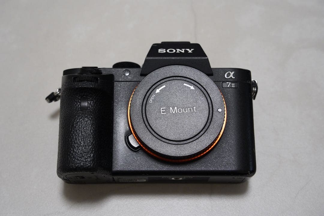 【Lilyさん専用-取り置き】SONY α7Ⅱ ボディ