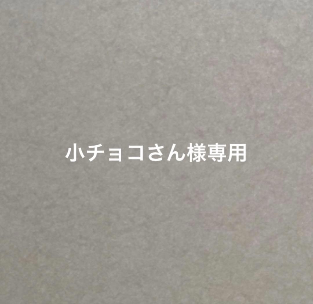 美品 SOY RICH ソイリッチ 完全豆乳メーカー　大豆700g付き