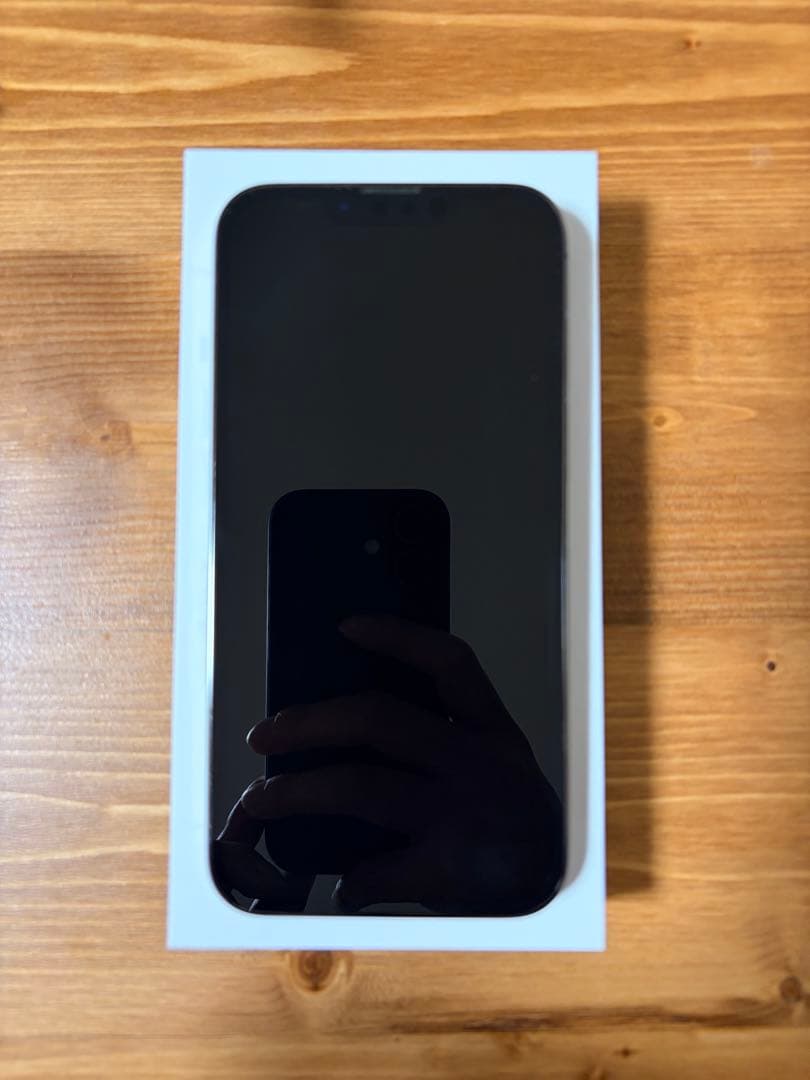 【美品】Apple iPhone 13 Pro グラファイト 256GB
