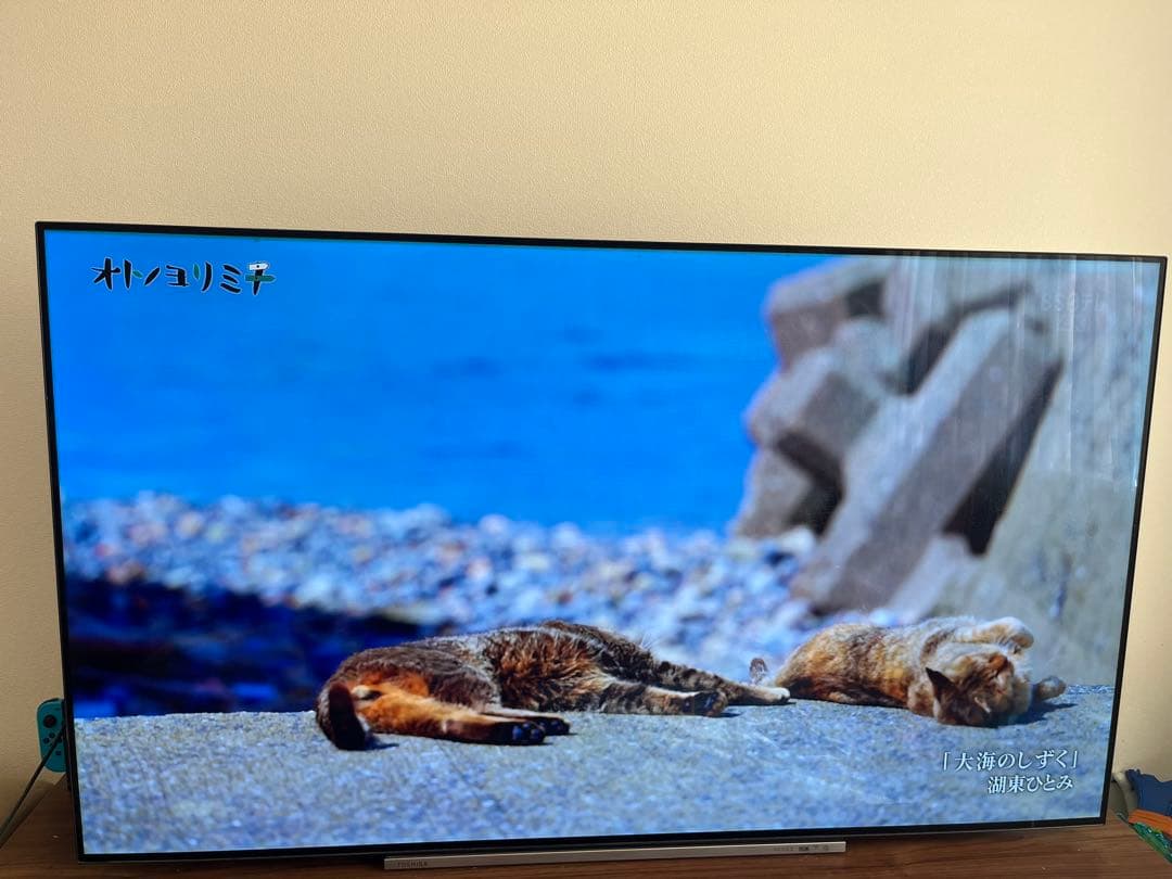 TOSHIBA REGZA 55X930 有機ELテレビ 55インチ