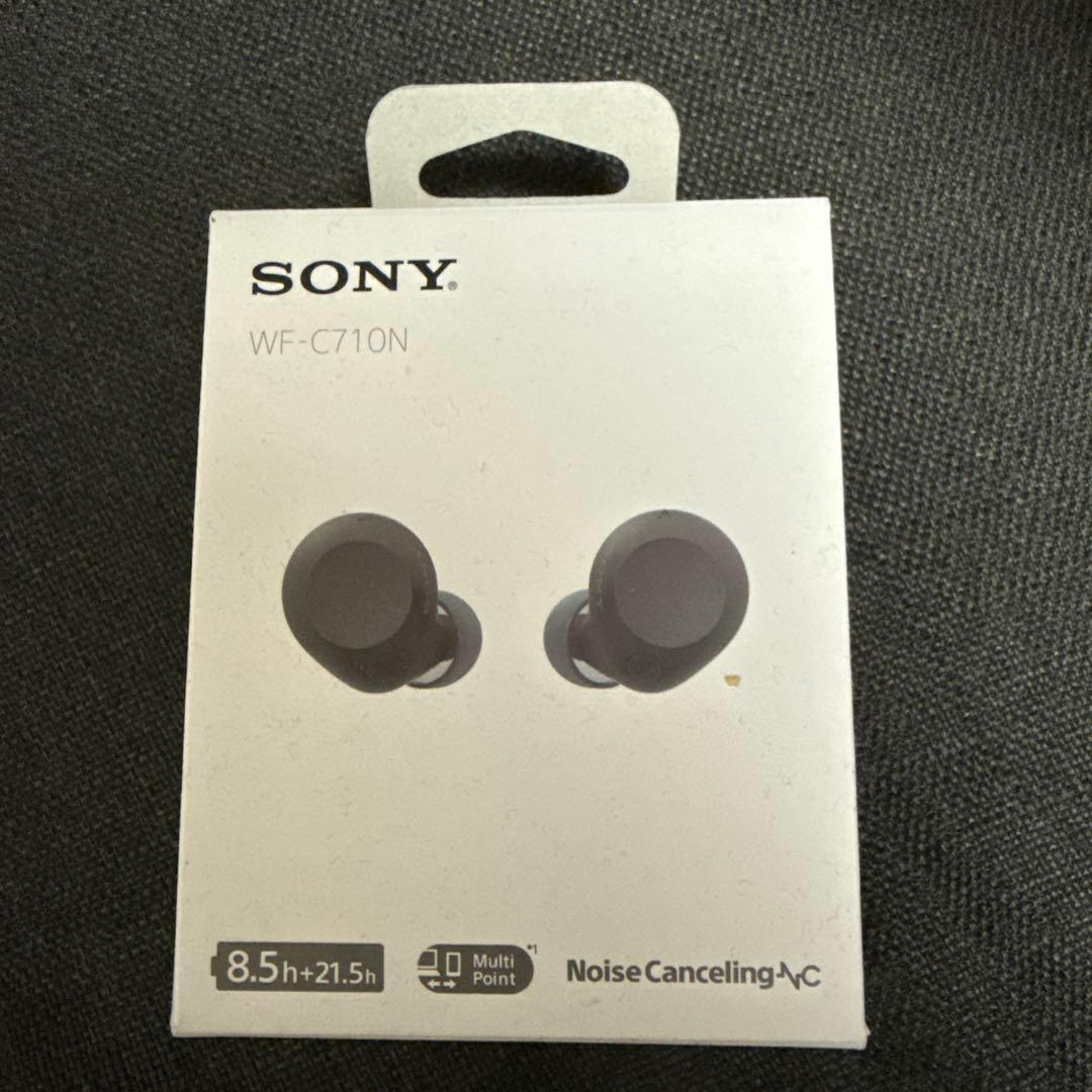 ソニー 完全ワイヤレスイヤホン ブラックノイズキャンセリング対応