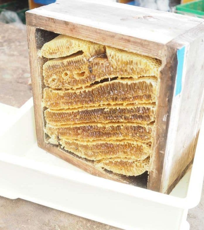 日本ミツバチ完熟蜂蜜（食べ比べ、600g✕2）