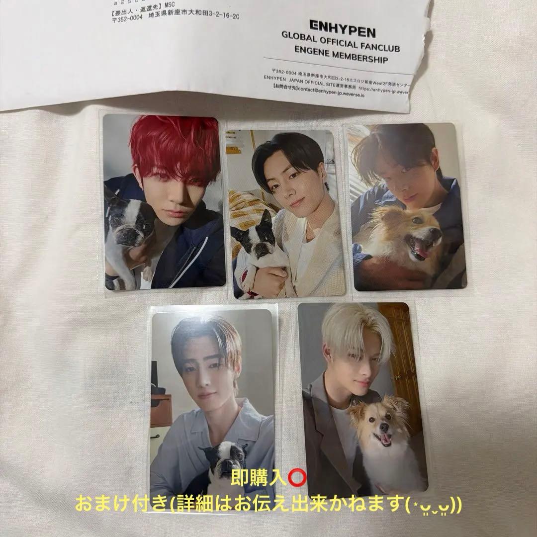 ENHYPEN アンケートトレカ5枚セット