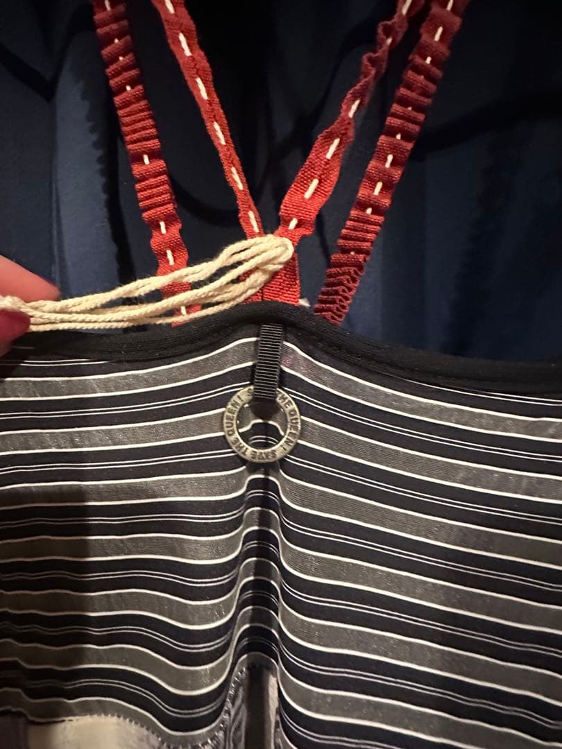 save the queen ワンピース