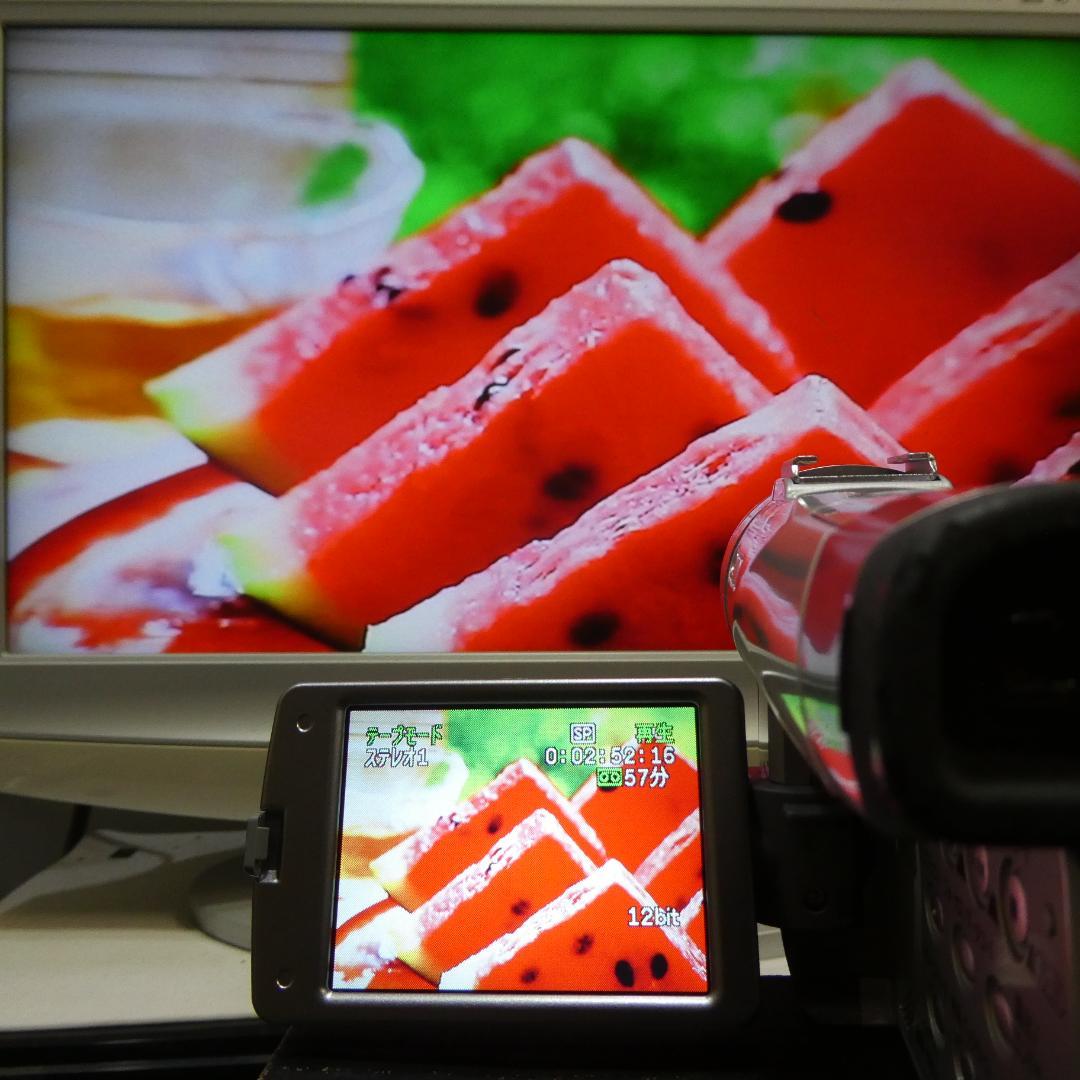 美品・動作良好 キャノン DM-FV M200 MiniDVビデオ DVD化に