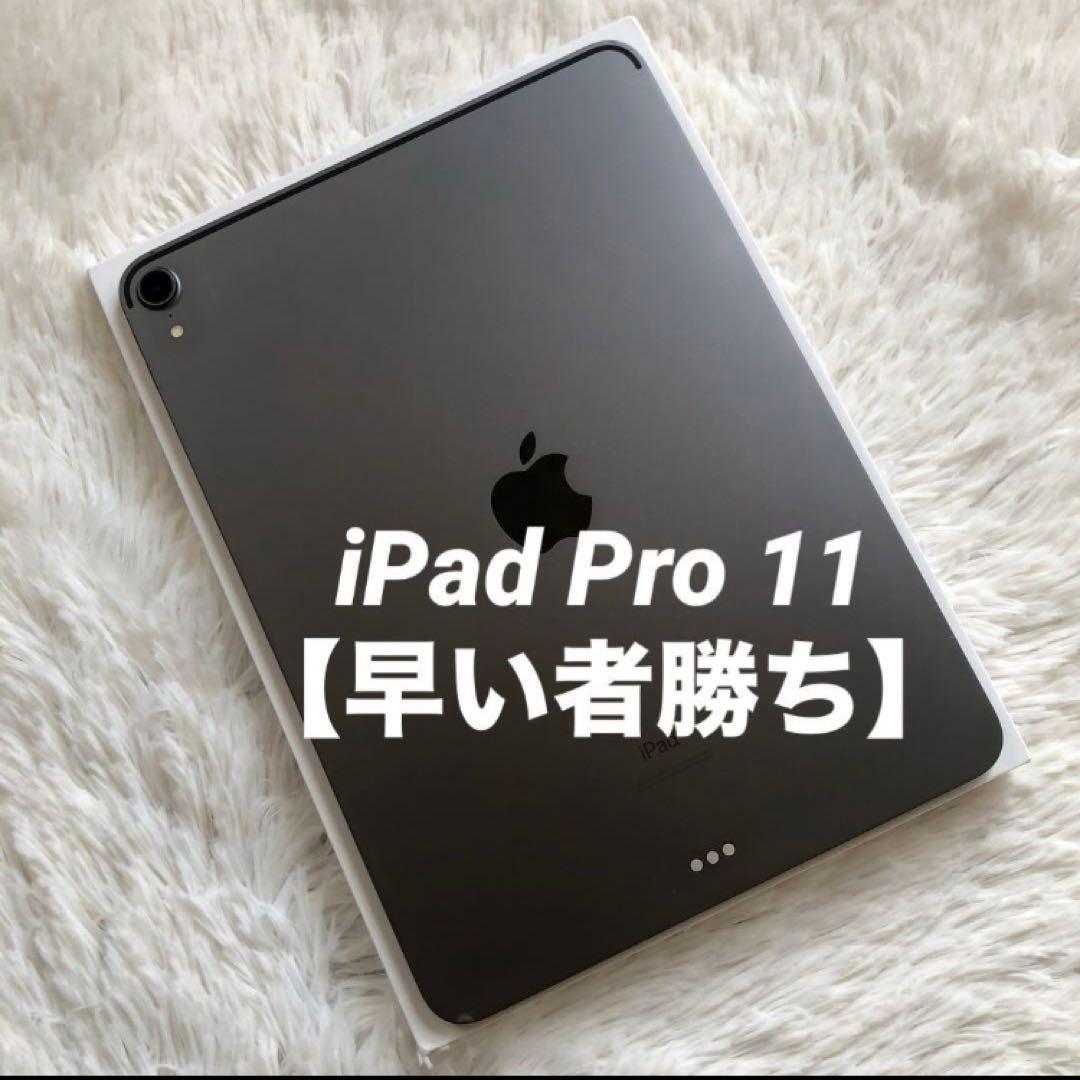 【1/27販売終了】iPad Pro 11 第1世代 256GB 【すぐ発送】