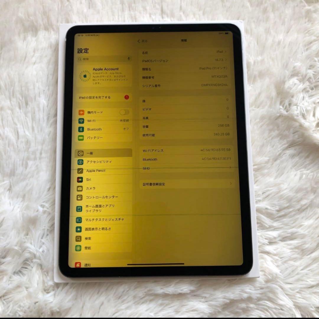 【1/27販売終了】iPad Pro 11 第1世代 256GB 【すぐ発送】