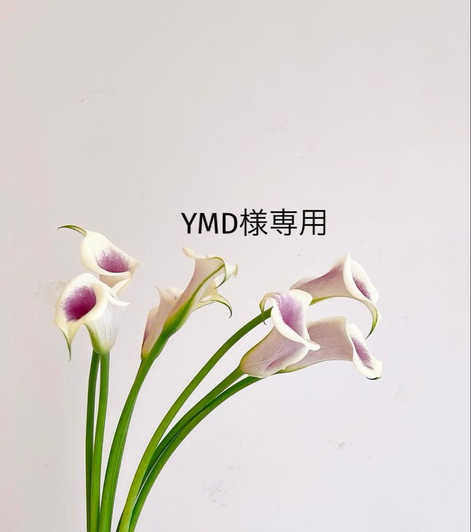 YMD　スピケア　VOS ホームケア３点セット